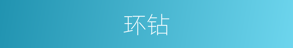 环钻的意思