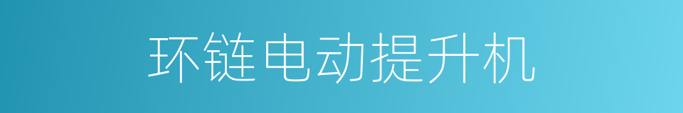 环链电动提升机的同义词