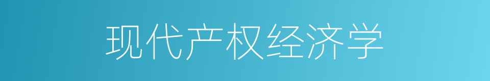现代产权经济学的同义词