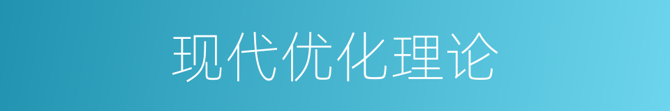 现代优化理论的同义词