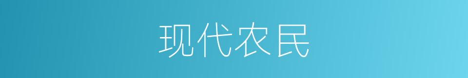 现代农民的同义词