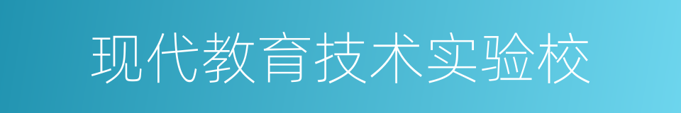 现代教育技术实验校的同义词