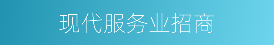 现代服务业招商的同义词