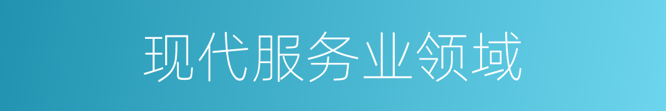 现代服务业领域的同义词
