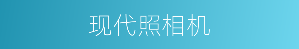 现代照相机的同义词