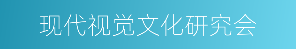 现代视觉文化研究会的同义词