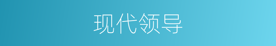 现代领导的同义词