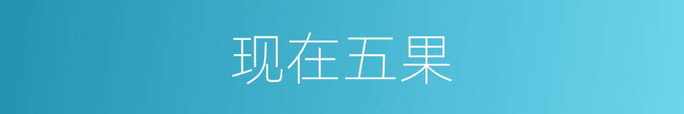 现在五果的意思