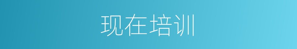 现在培训的意思