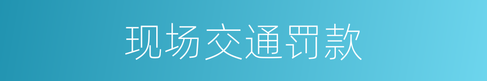 现场交通罚款的同义词