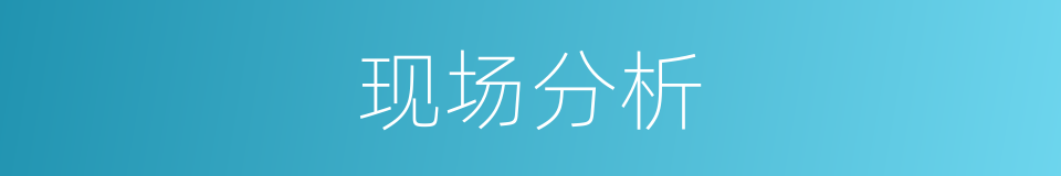 现场分析的同义词