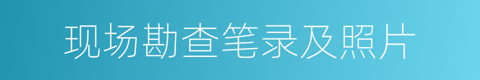 现场勘查笔录及照片的同义词