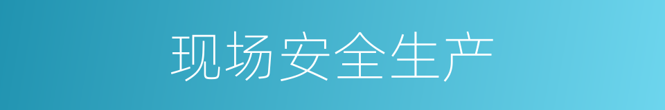 现场安全生产的同义词