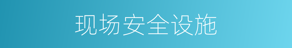 现场安全设施的同义词