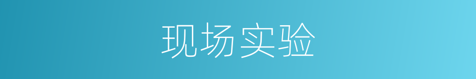现场实验的同义词