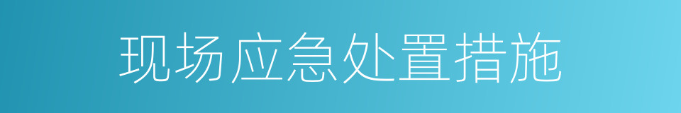现场应急处置措施的同义词
