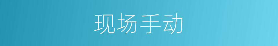 现场手动的同义词