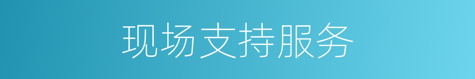现场支持服务的同义词