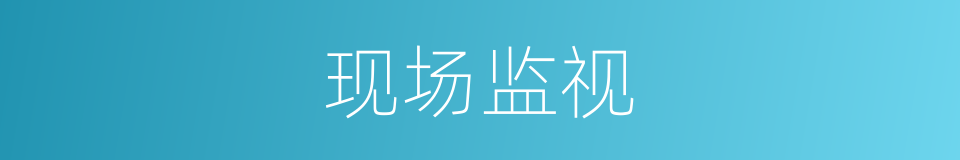 现场监视的同义词