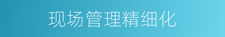 现场管理精细化的同义词