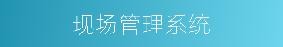 现场管理系统的同义词