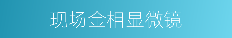 现场金相显微镜的同义词