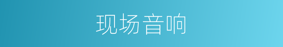 现场音响的同义词