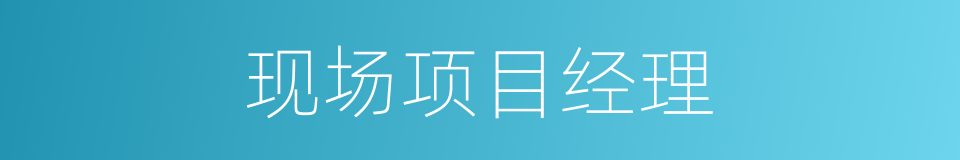 现场项目经理的同义词