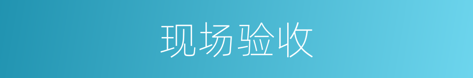 现场验收的同义词