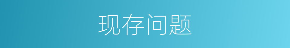 现存问题的意思