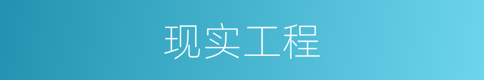 现实工程的同义词