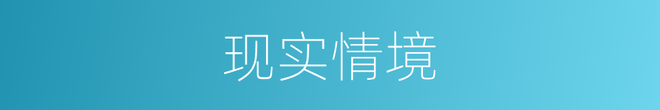 现实情境的同义词