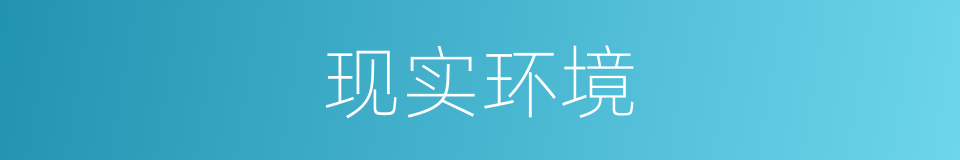 现实环境的同义词