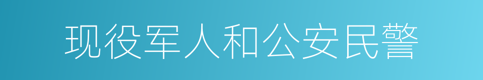 现役军人和公安民警的同义词