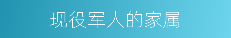 现役军人的家属的同义词