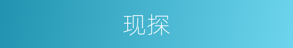 现探的同义词