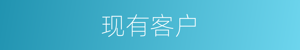 现有客户的同义词