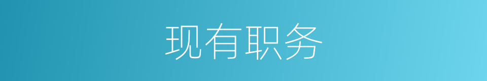 现有职务的同义词