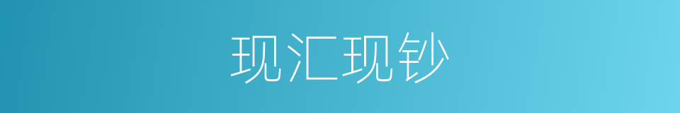 现汇现钞的同义词