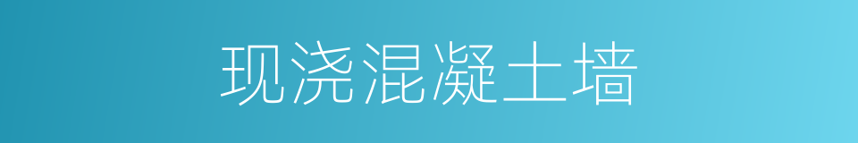 现浇混凝土墙的同义词