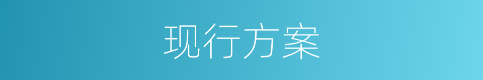现行方案的同义词