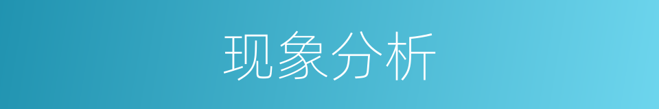 现象分析的意思
