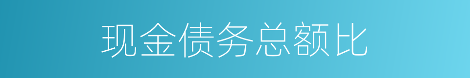 现金债务总额比的同义词