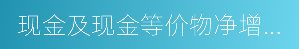 现金及现金等价物净增加额的同义词