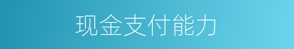 现金支付能力的同义词