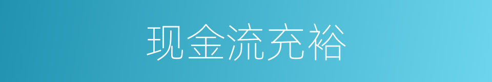 现金流充裕的同义词