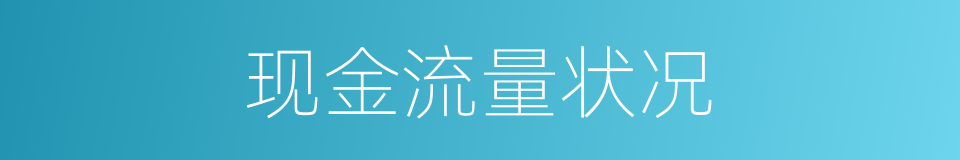 现金流量状况的同义词