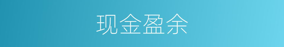 现金盈余的同义词