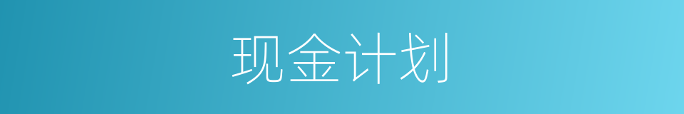 现金计划的同义词