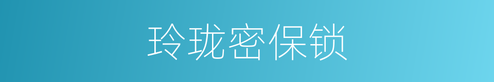 玲珑密保锁的同义词